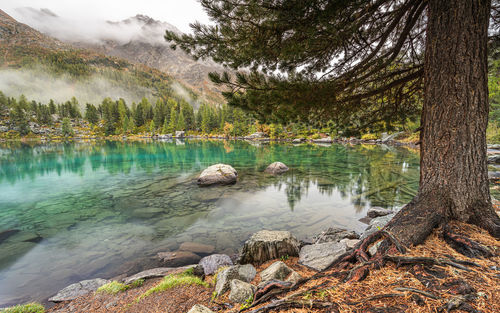 Scenic view of lake