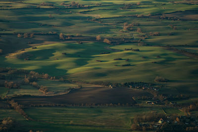 Aerial view of agricultural field