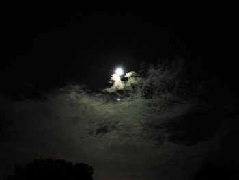 Low angle view of fireworks against sky at night