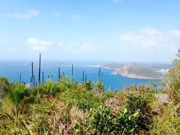 Scenic view of sea against sky