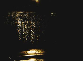 Close-up of illuminated trees against sky at night