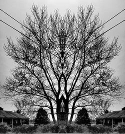 Low angle view of bare trees against sky