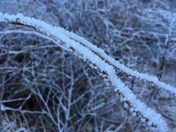 Close-up of snow