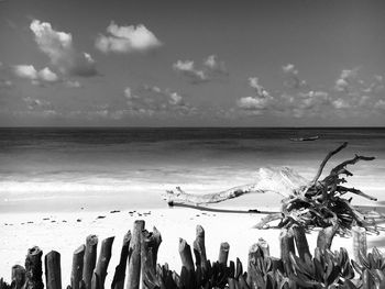 Panoramic view of driftwood on beach against sky