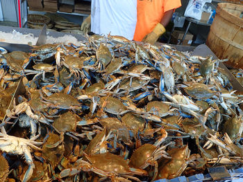 Close-up of fish for sale in market