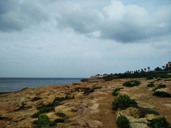 Scenic view of beach against sky