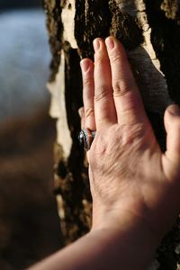 Close-up of hand on tree trunk