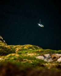 High angle view of sailboat on sea shore