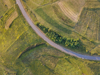 High angle view of agricultural field