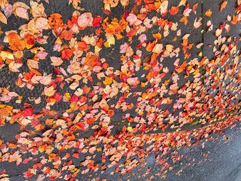 Full frame shot of autumn leaves on wall