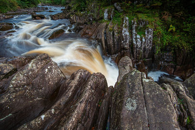 Scenic view of waterfall in forest