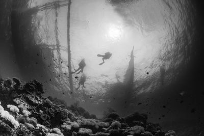 Scuba divers swimming underwater