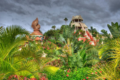 Low angle view of palm trees against sky