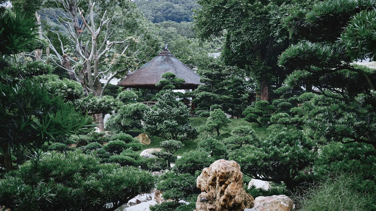 plant, tree, growth, nature, green, no people, garden, day, beauty in nature, forest, tranquility, woodland, architecture, land, built structure, outdoors, tranquil scene, foliage, scenics - nature, lush foliage, flower, rainforest, jungle, high angle view, non-urban scene, rock