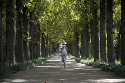 Woman walking on footpath amidst trees in forest