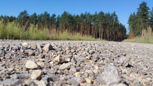 Surface level of road against clear sky