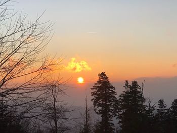 Silhouette trees against sky during sunset