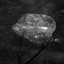 Close-up of water at night