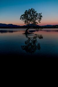 Tree by sea against sky during sunset