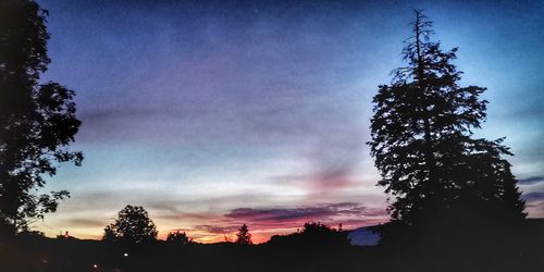 Low angle view of silhouette trees against sky at sunset