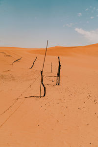 Scenic view of sand dune in desert against sky