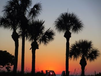 Low angle view of palm trees against sky