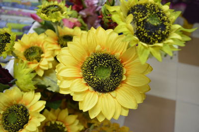 Close-up of yellow flowers