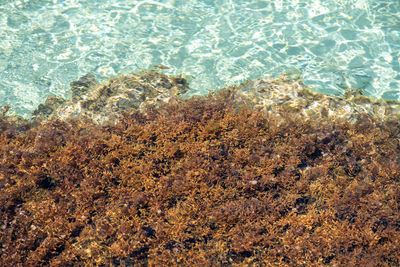 High angle view of sea shore