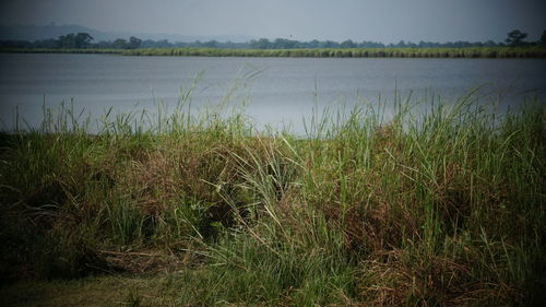 Scenic view of lake against sky