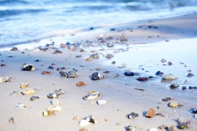 Close-up of pebbles on beach