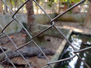 Close-up of chainlink fence