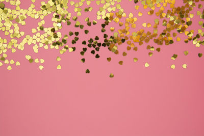 Low angle view of pink balloons against colored background