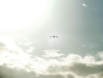 Low angle view of airplane flying in sky