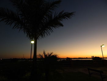 Silhouette palm trees against sky at night