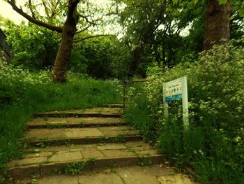 Information sign on steps in forest