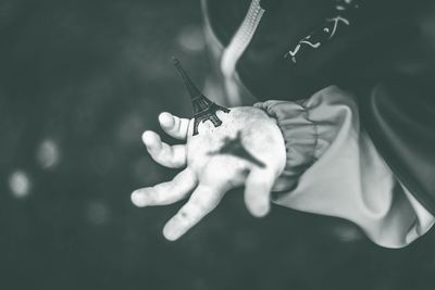 Close-up of cropped hand holding plant