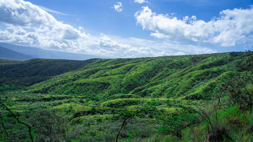 Scenic view of landscape against sky