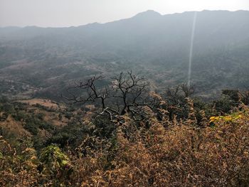 Scenic view of landscape and mountains against sky