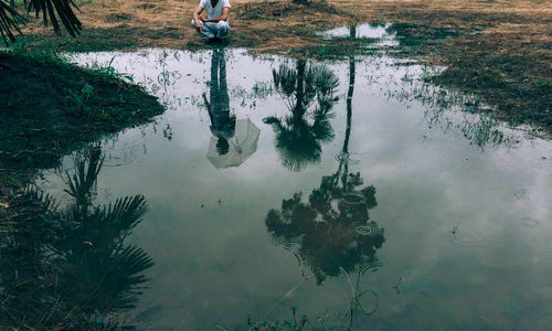 Reflection of trees in puddle