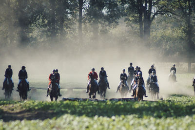 Group of people riding horses on field against trees