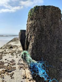 Close-up of rope on rock at beach against sky