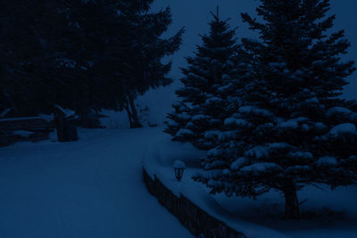 Snow covered landscape