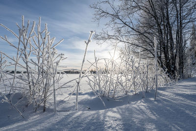 Snow covered field against sky