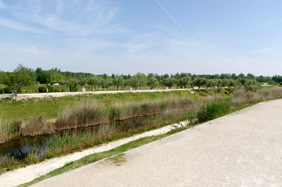 Road amidst green landscape against sky