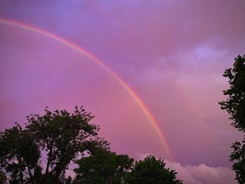 Low angle view of rainbow over trees against sky