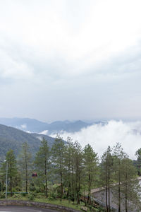 Scenic view of trees and mountains against sky