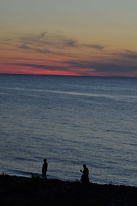 Silhouette birds on beach against sky at sunset