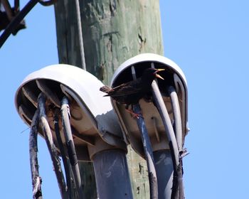 Low angle view of wooden post against sky