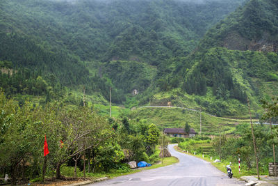 Road amidst trees in forest