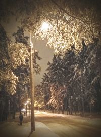 Street lights on road along trees at night